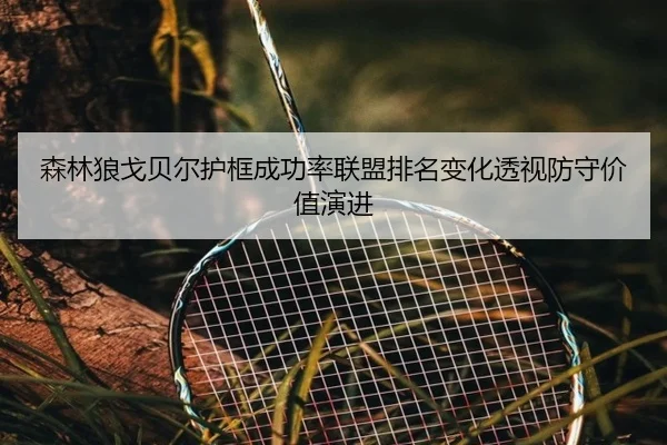 森林狼戈贝尔护框成功率联盟排名变化透视防守价值演进